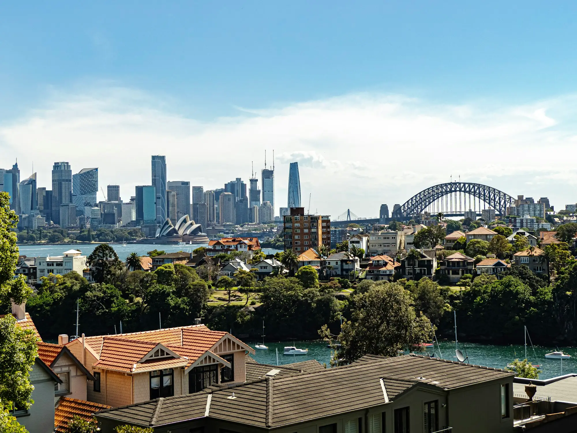Row of terrace houses on a leafy inner Sydney street